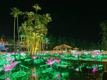 美らヤシパークオキナワ・東南植物楽園に投稿された画像（2021/11/8）