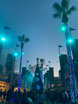 ひらかたパークに投稿された画像（2021/11/8）