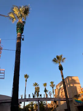 ひらかたパークに投稿された画像（2021/11/8）