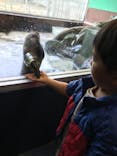 箱根園水族館に投稿された画像（2021/11/8）