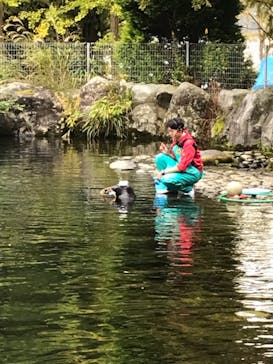 箱根園水族館に投稿された画像（2021/11/8）