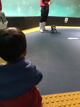 箱根園水族館に投稿された画像（2021/11/8）