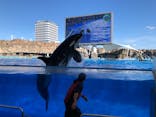 名古屋港水族館に投稿された画像（2021/11/8）