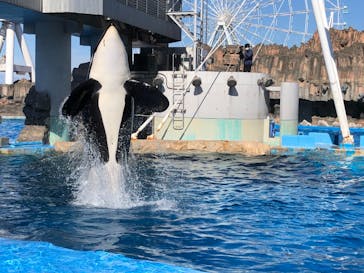 名古屋港水族館に投稿された画像（2021/11/8）