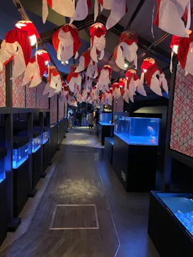 すみだ水族館に投稿された画像（2021/11/8）