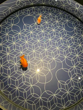 すみだ水族館に投稿された画像（2021/11/8）