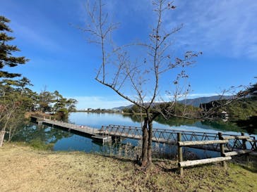 となみ野オーベルジュ＆里山の源泉スパ　桜ヶ池クアガーデンに投稿された画像（2021/11/8）