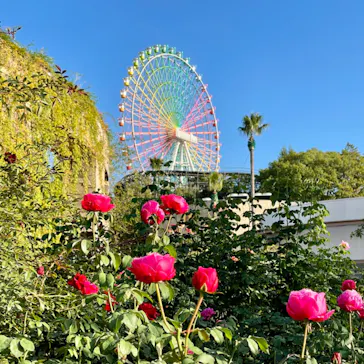 ひらかたパークに投稿された画像（2021/11/8）