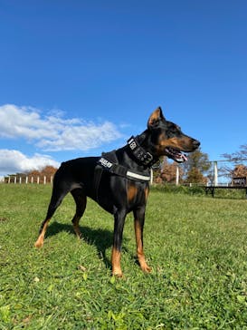 那須どうぶつ王国に投稿された画像（2021/11/8）