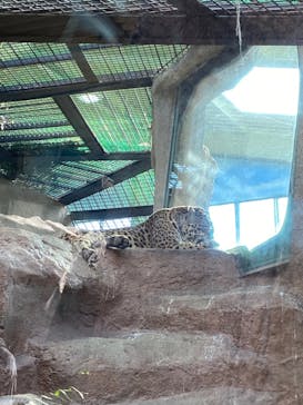 那須どうぶつ王国に投稿された画像（2021/11/8）