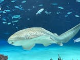サンシャイン水族館に投稿された画像（2021/11/8）