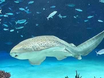 サンシャイン水族館に投稿された画像（2021/11/8）