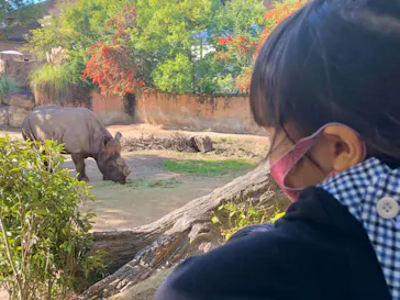 天王寺動物園に投稿された画像（2021/11/8）