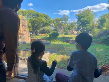 天王寺動物園に投稿された画像（2021/11/8）