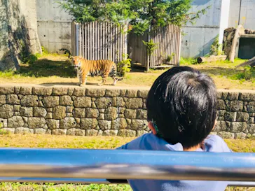 天王寺動物園に投稿された画像（2021/11/8）