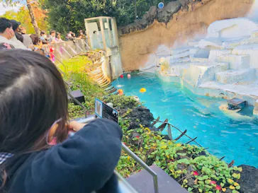 天王寺動物園に投稿された画像（2021/11/8）