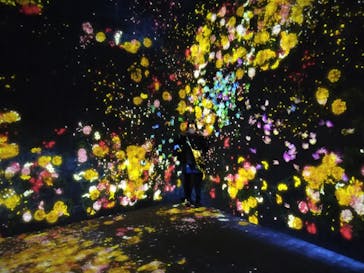 森ビル デジタルアート ミュージアム：エプソン チームラボボーダレスに投稿された画像（2021/11/8）