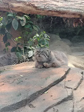 神戸どうぶつ王国に投稿された画像（2021/11/8）