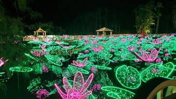 美らヤシパークオキナワ・東南植物楽園に投稿された画像（2021/11/8）