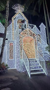 美らヤシパークオキナワ・東南植物楽園に投稿された画像（2021/11/8）