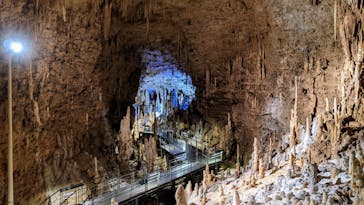 おきなわワールドに投稿された画像（2021/11/8）