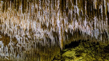 おきなわワールドに投稿された画像（2021/11/8）