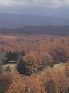 軽井沢おもちゃ王国に投稿された画像（2021/11/8）