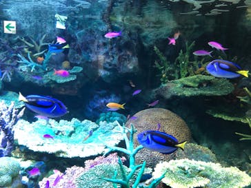 サンシャイン水族館に投稿された画像（2021/11/8）