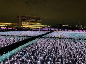 東京メガイルミに投稿された画像（2021/11/8）