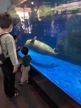 マクセル アクアパーク品川に投稿された画像（2021/11/8）