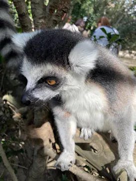 神戸どうぶつ王国に投稿された画像（2021/11/8）