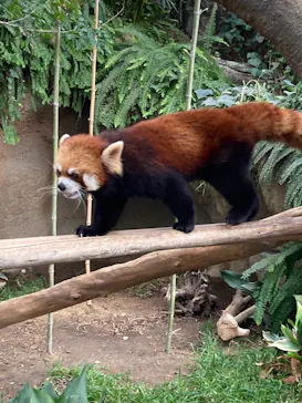 神戸どうぶつ王国に投稿された画像（2021/11/8）