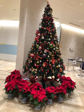 オーシャンスパ Fuuaに投稿された画像（2021/11/8）