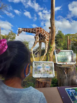 天王寺動物園に投稿された画像（2021/11/8）