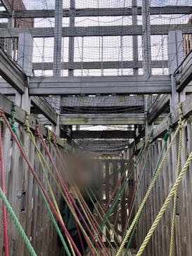 伊豆ぐらんぱる公園に投稿された画像（2021/11/8）