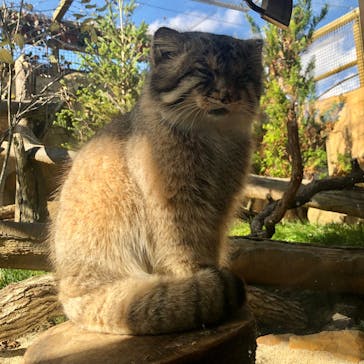 那須どうぶつ王国に投稿された画像（2021/11/9）