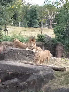 天王寺動物園に投稿された画像（2021/11/9）