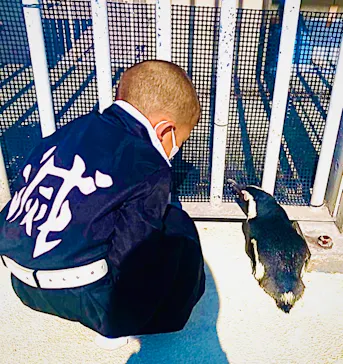 横浜・八景島シーパラダイスに投稿された画像（2021/11/9）