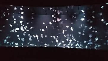 サンシャイン水族館に投稿された画像（2021/11/9）