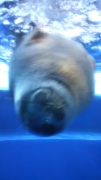 サンシャイン水族館に投稿された画像（2021/11/9）