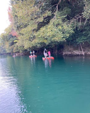 RocaRoca（ロカロカ）アクティビティに投稿された画像（2021/11/9）