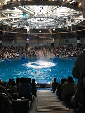 マクセル アクアパーク品川に投稿された画像（2021/11/9）