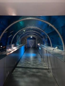 登別マリンパークニクスに投稿された画像（2021/11/9）