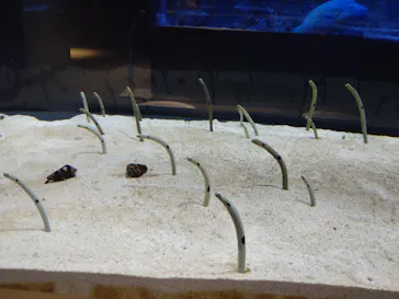 すみだ水族館に投稿された画像（2021/11/9）