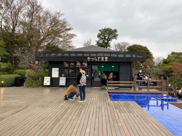 伊豆パノラマパークに投稿された画像（2021/11/9）