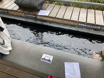 伊豆パノラマパークに投稿された画像（2021/11/9）