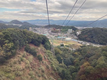 伊豆パノラマパークに投稿された画像（2021/11/9）