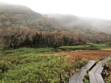 つがいけマウンテンリゾートに投稿された画像（2021/11/9）