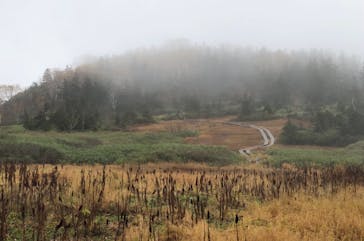 つがいけマウンテンリゾートに投稿された画像（2021/11/9）