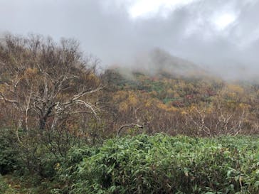 つがいけマウンテンリゾートに投稿された画像（2021/11/9）